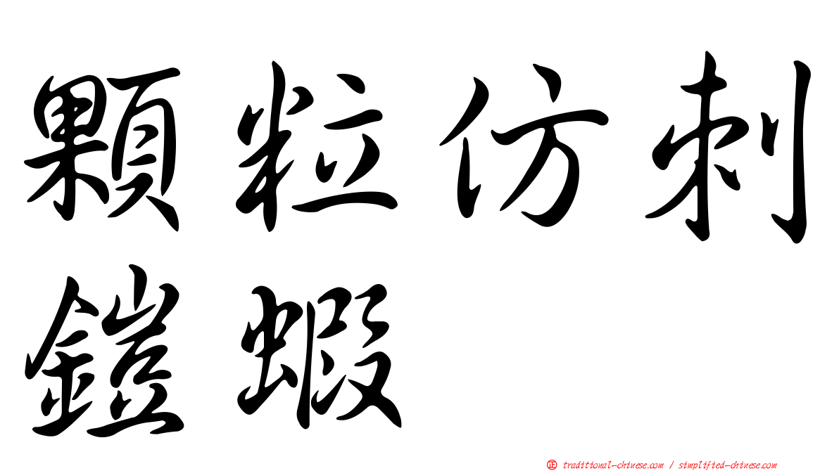 顆粒仿刺鎧蝦