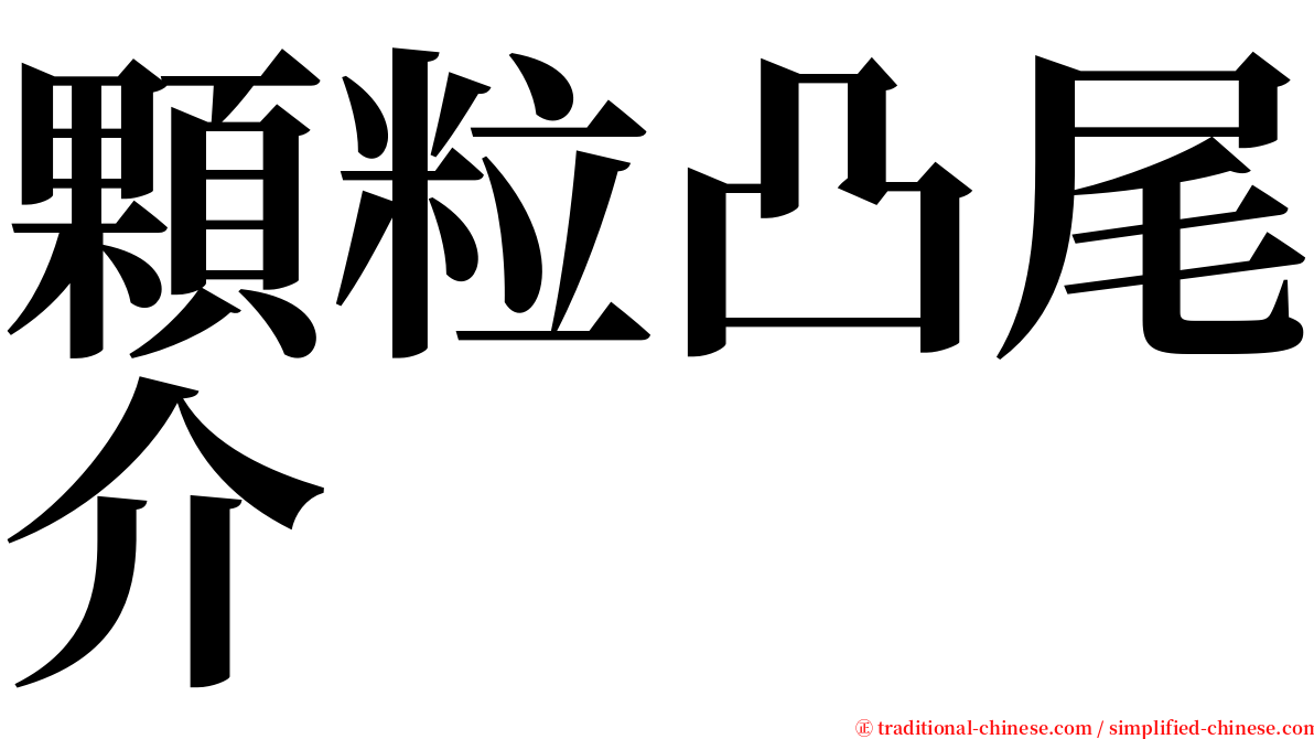 顆粒凸尾介 serif font