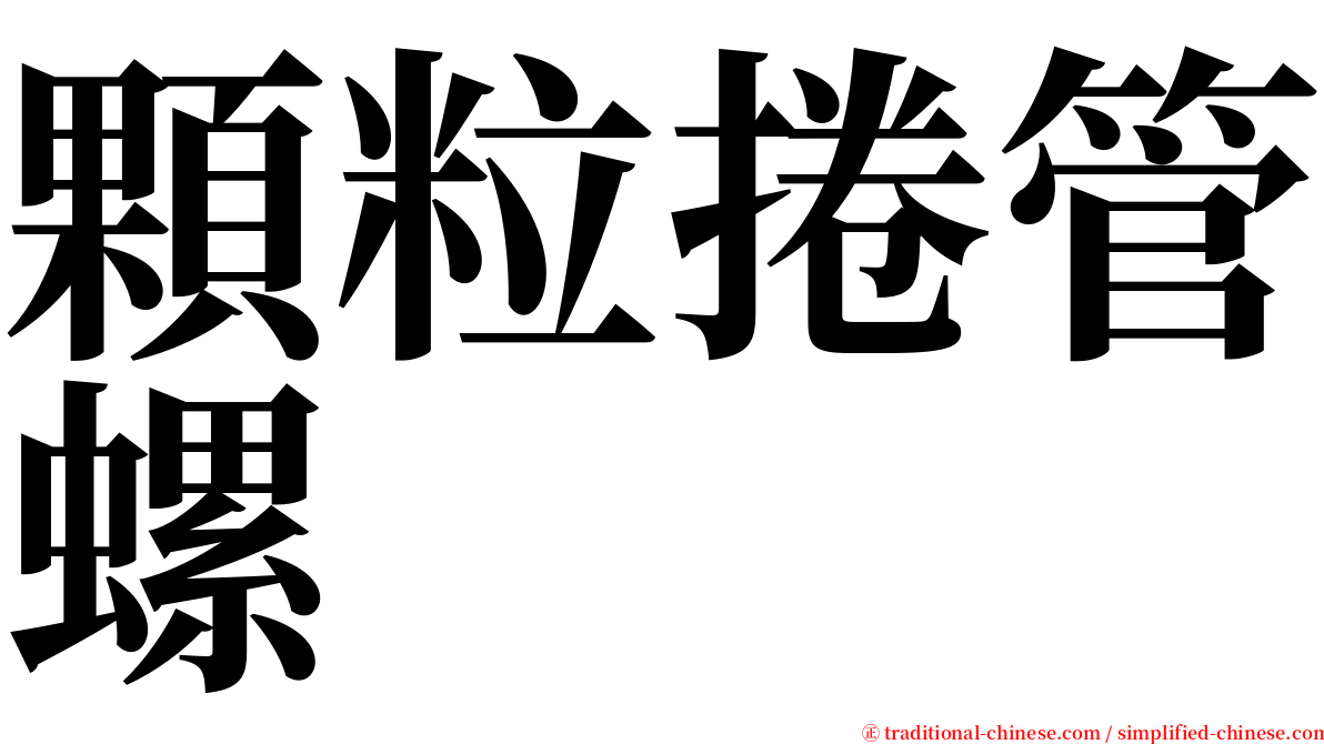 顆粒捲管螺 serif font