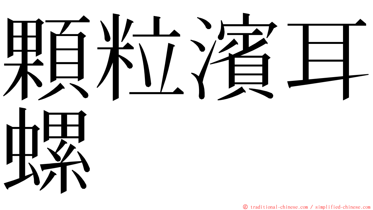 顆粒濱耳螺 ming font