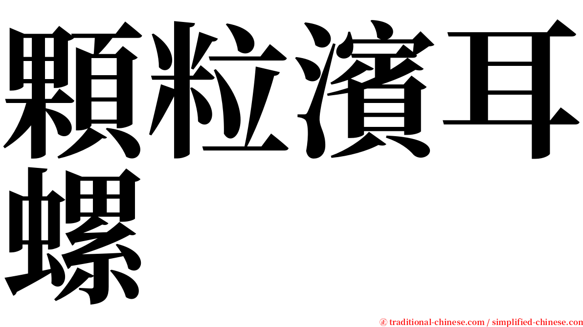 顆粒濱耳螺 serif font