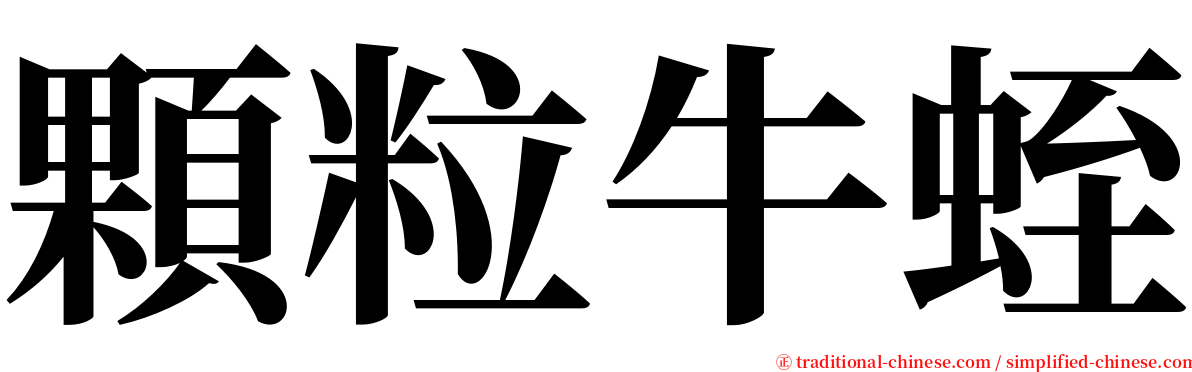 顆粒牛蛭 serif font