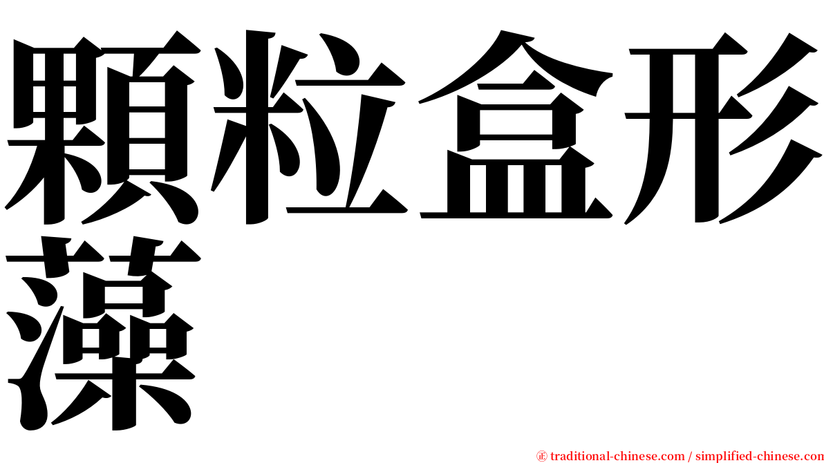 顆粒盒形藻 serif font