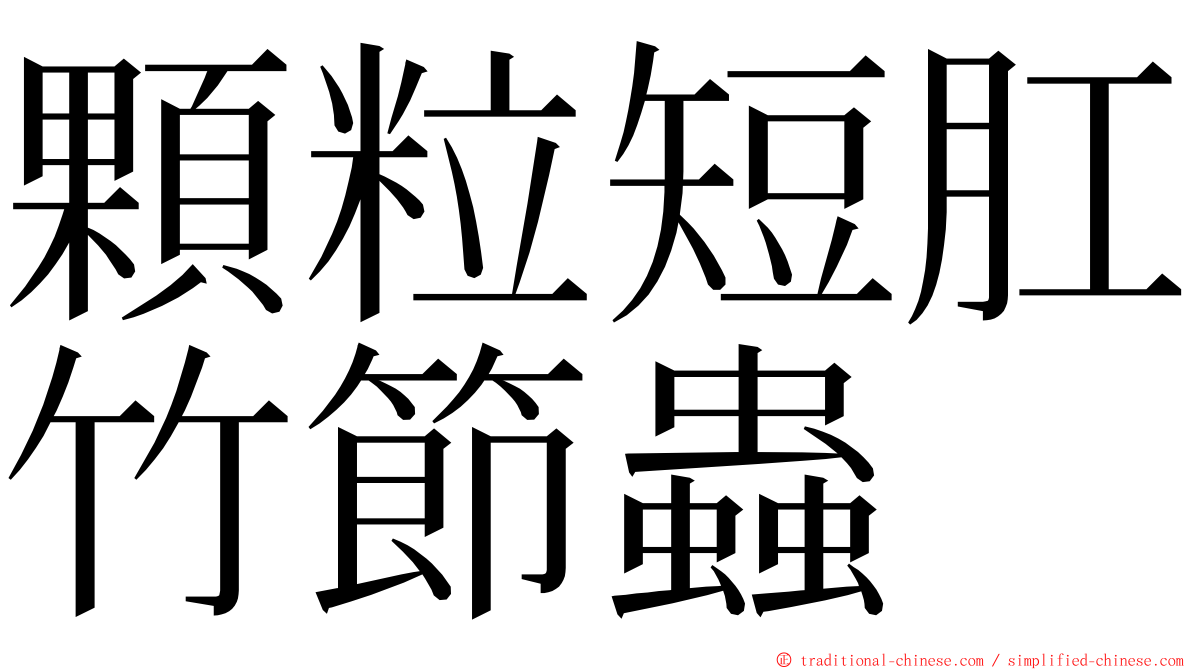 顆粒短肛竹節蟲 ming font