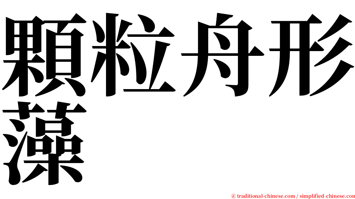 顆粒舟形藻 serif font