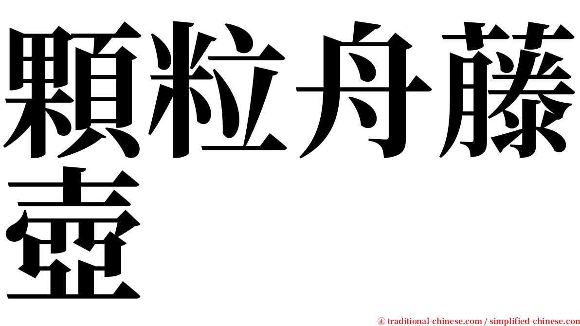 顆粒舟藤壺 serif font