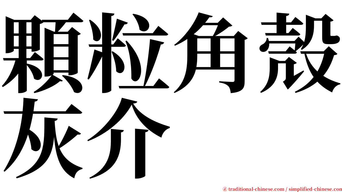 顆粒角殼灰介 serif font