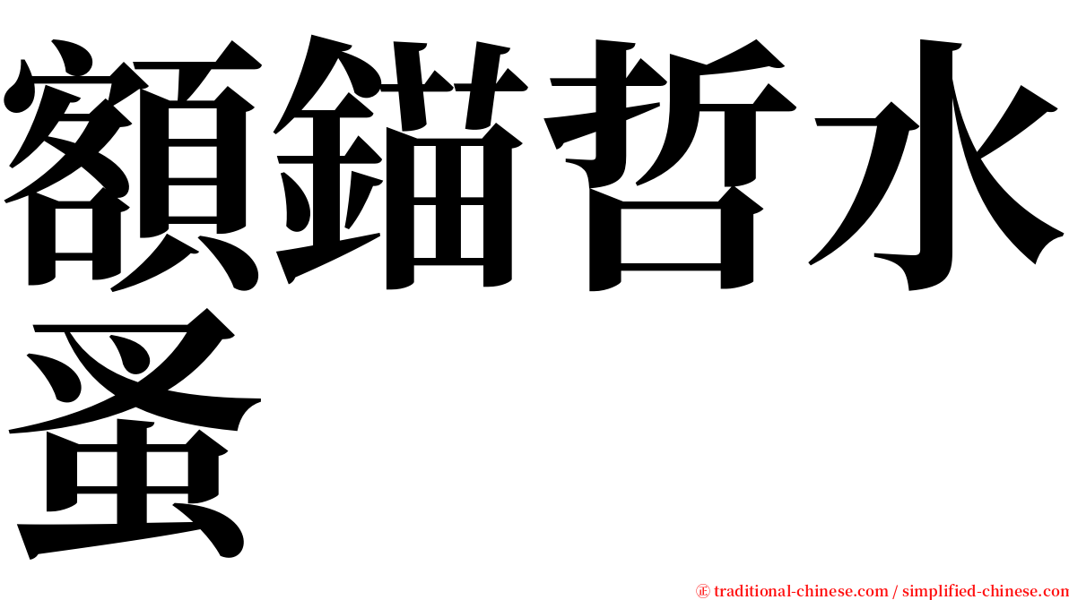 額錨哲水蚤 serif font