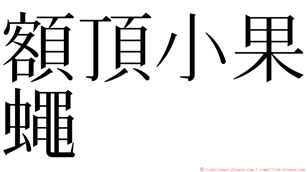 額頂小果蠅 ming font