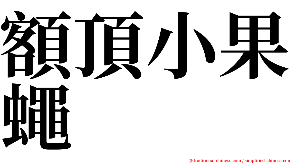 額頂小果蠅 serif font