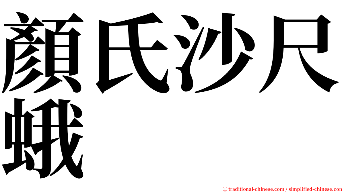 顏氏沙尺蛾 serif font