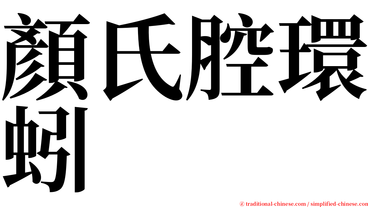 顏氏腔環蚓 serif font