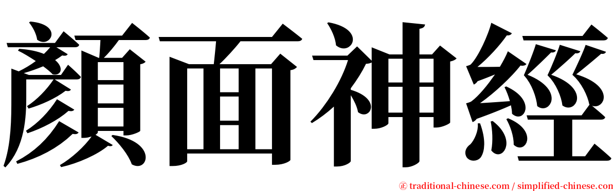 顏面神經 serif font