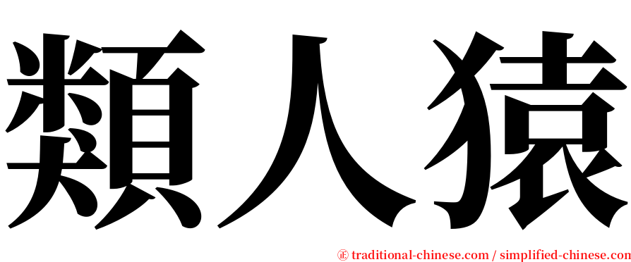 類人猿 serif font