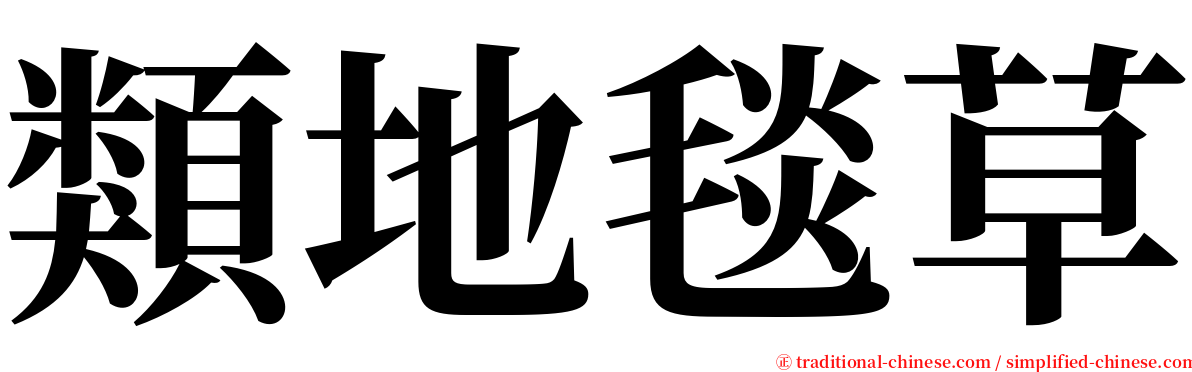 類地毯草 serif font