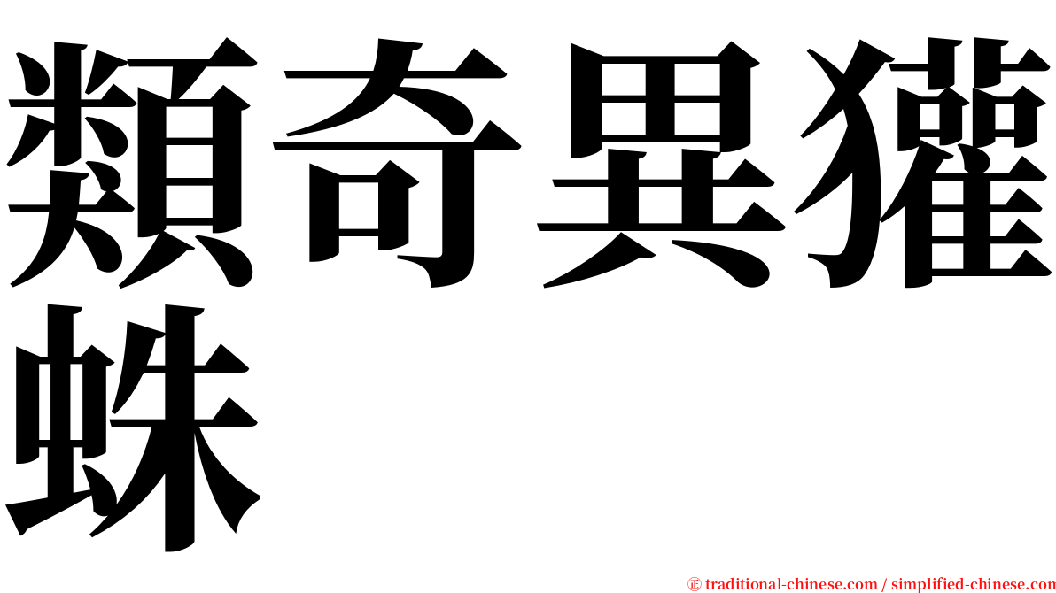 類奇異獾蛛 serif font