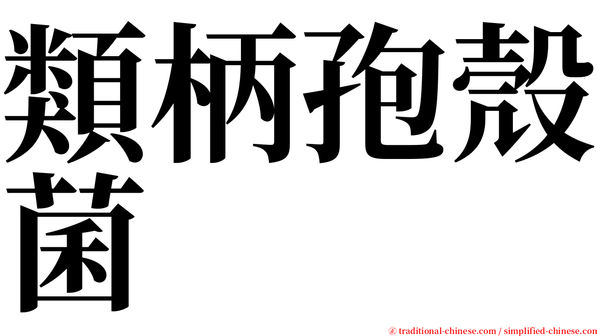 類柄孢殼菌 serif font