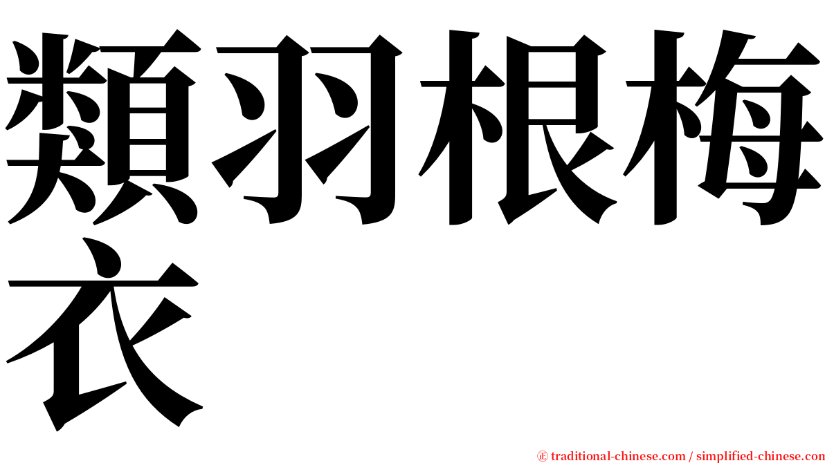 類羽根梅衣 serif font