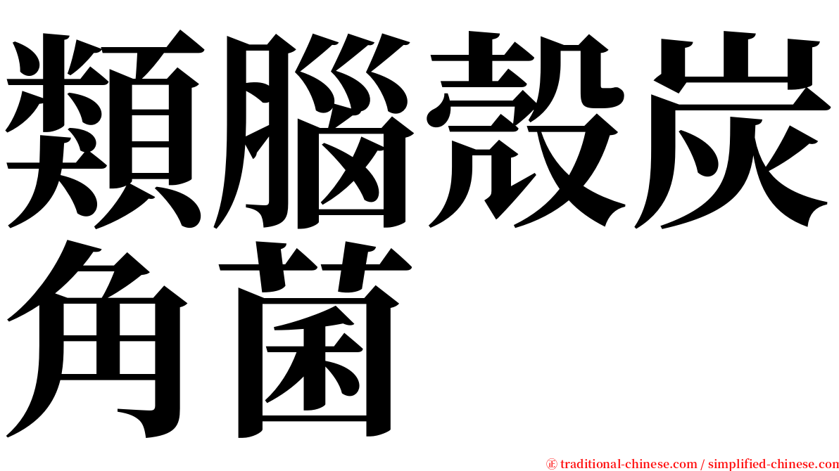 類腦殼炭角菌 serif font