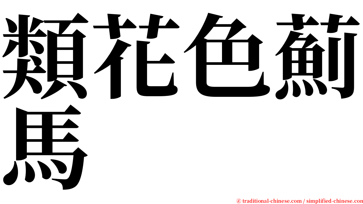 類花色薊馬 serif font