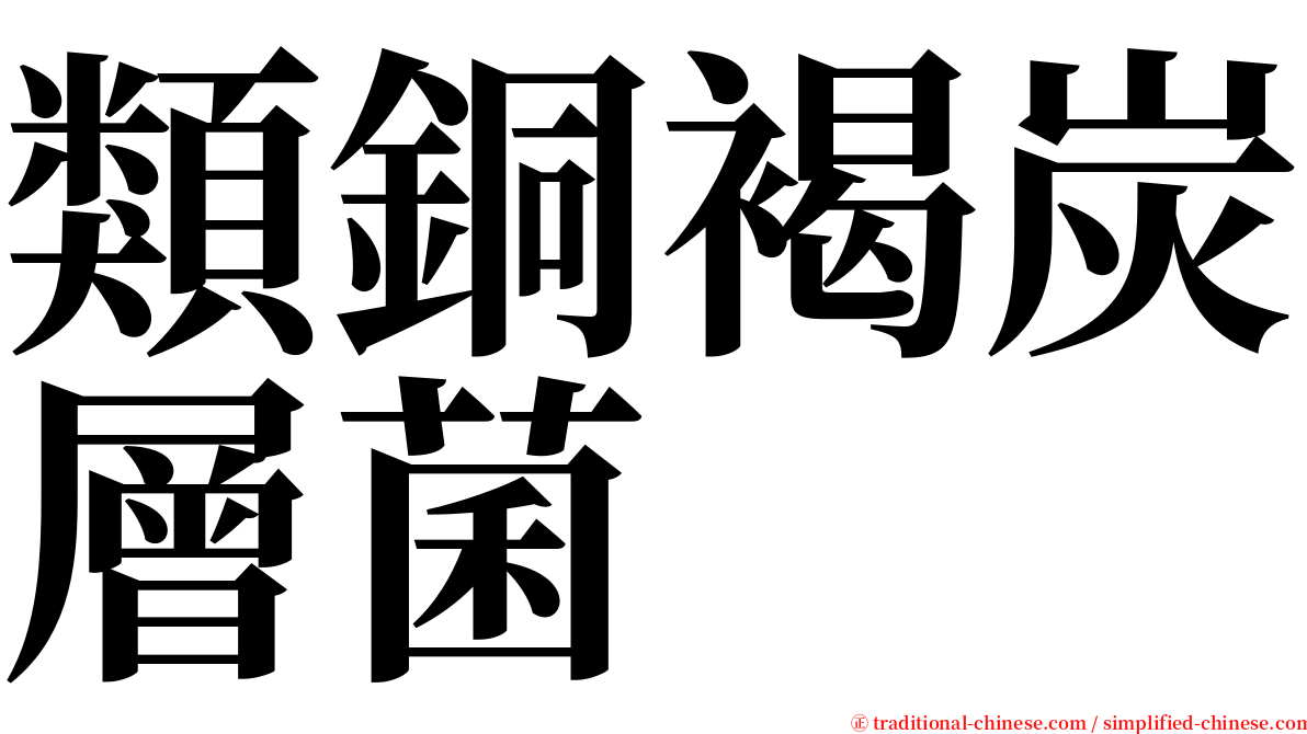 類銅褐炭層菌 serif font