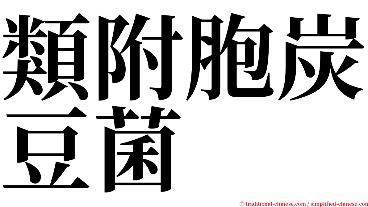 類附胞炭豆菌 serif font