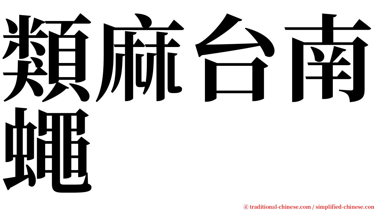 類麻台南蠅 serif font