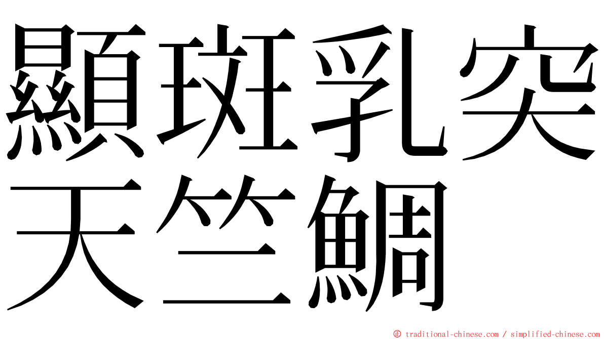 顯斑乳突天竺鯛 ming font