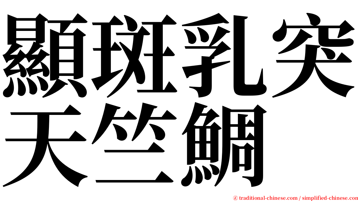 顯斑乳突天竺鯛 serif font