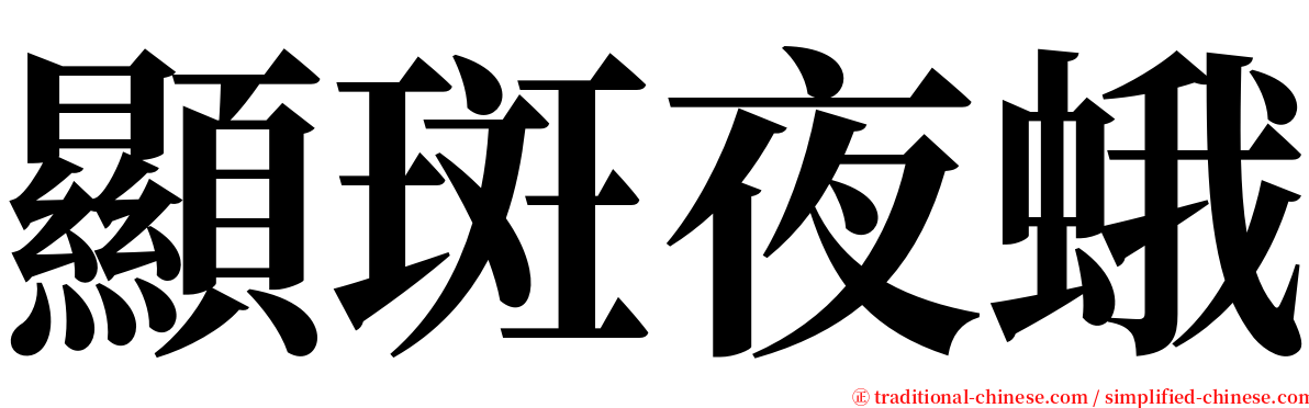 顯斑夜蛾 serif font