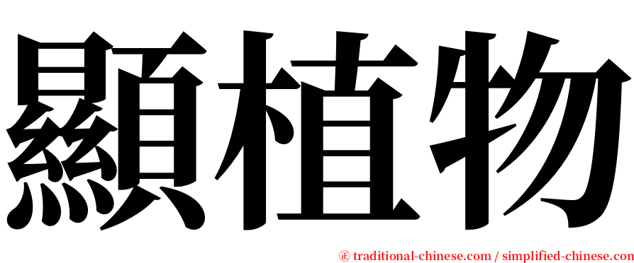 顯植物 serif font