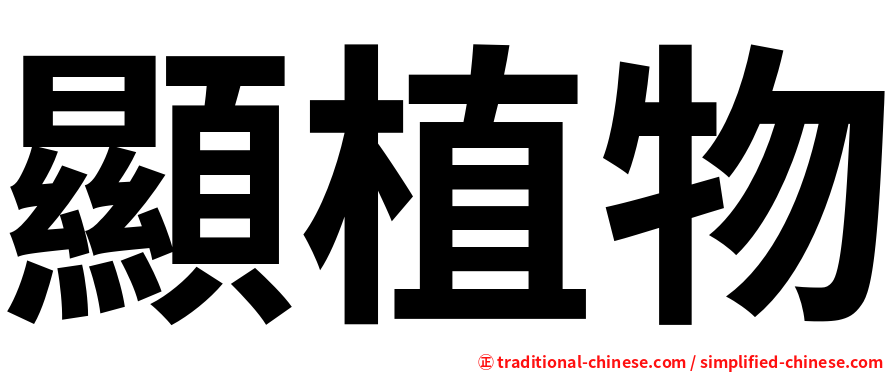 顯植物
