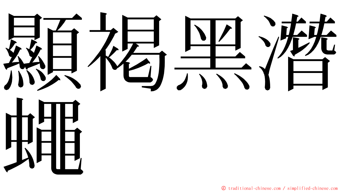 顯褐黑潛蠅 ming font