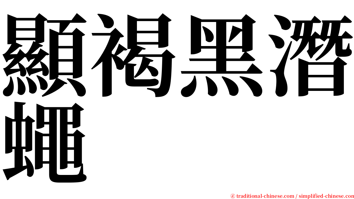 顯褐黑潛蠅 serif font