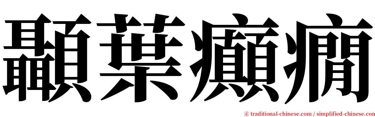 顳葉癲癇 serif font