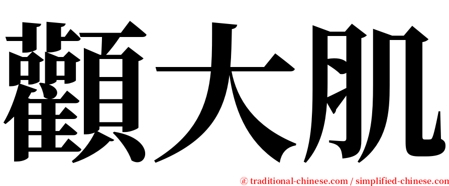 顴大肌 serif font