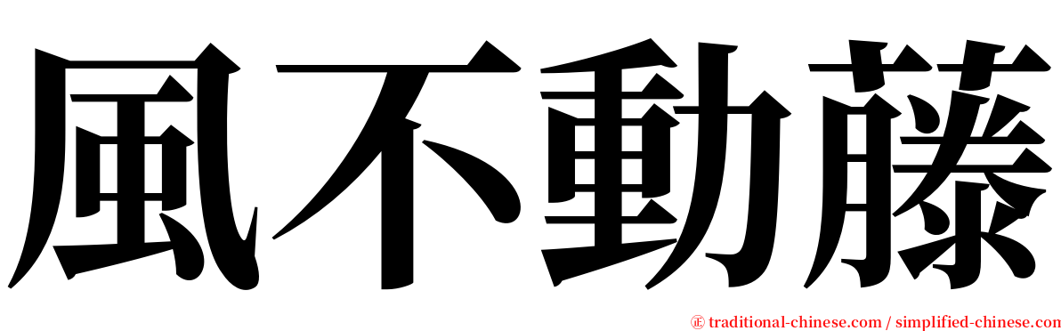 風不動藤 serif font