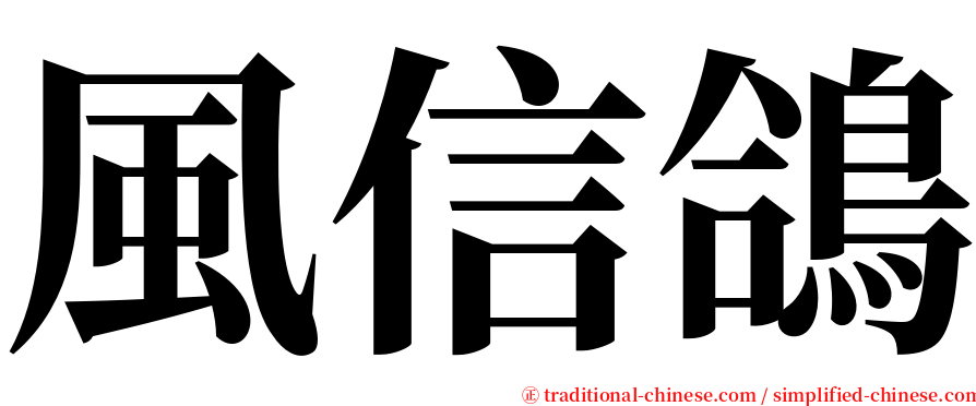 風信鴿 serif font