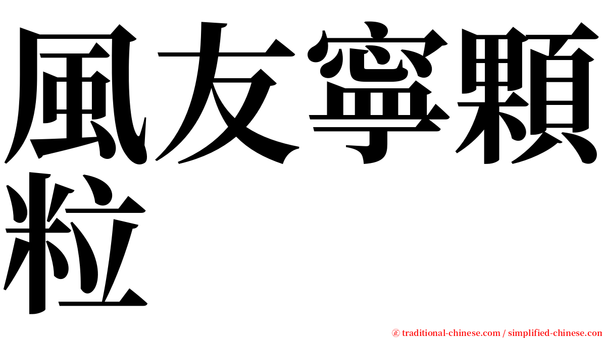 風友寧顆粒 serif font