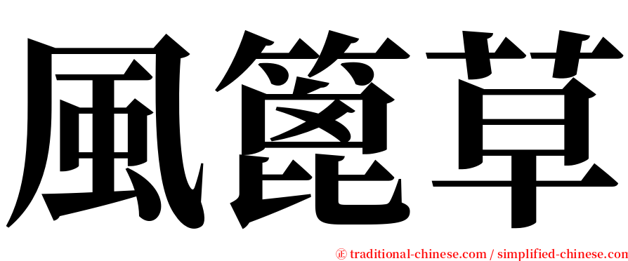 風篦草 serif font
