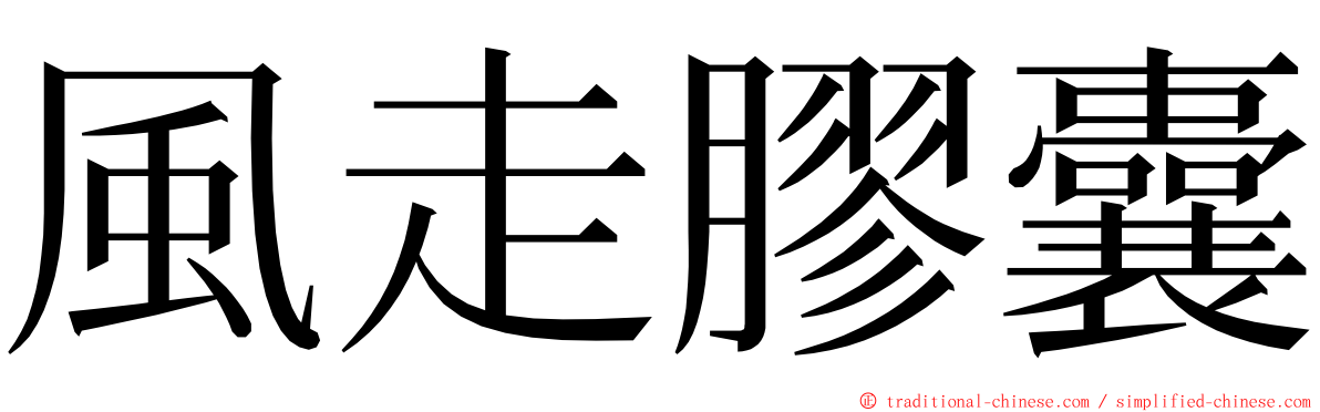 風走膠囊 ming font