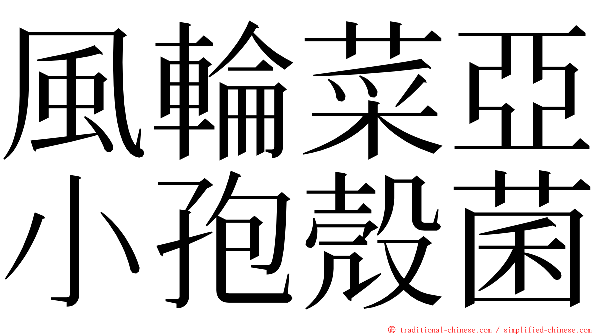 風輪菜亞小孢殼菌 ming font