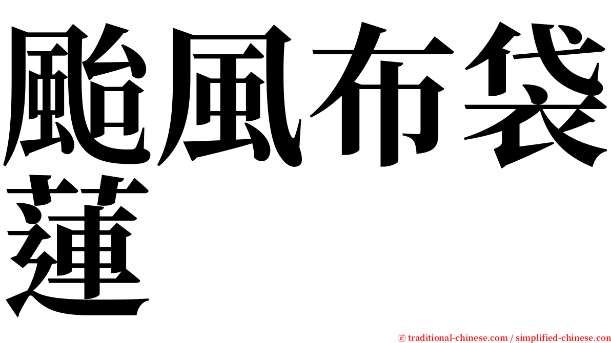 颱風布袋蓮 serif font