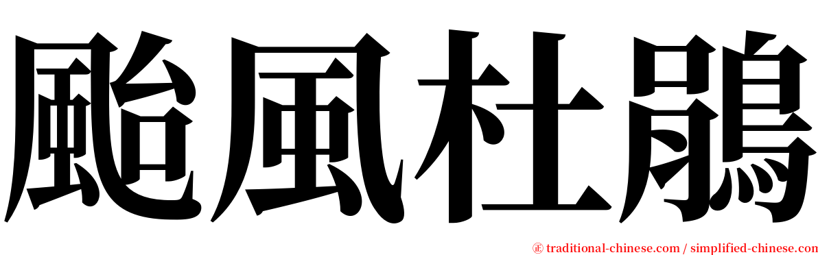 颱風杜鵑 serif font