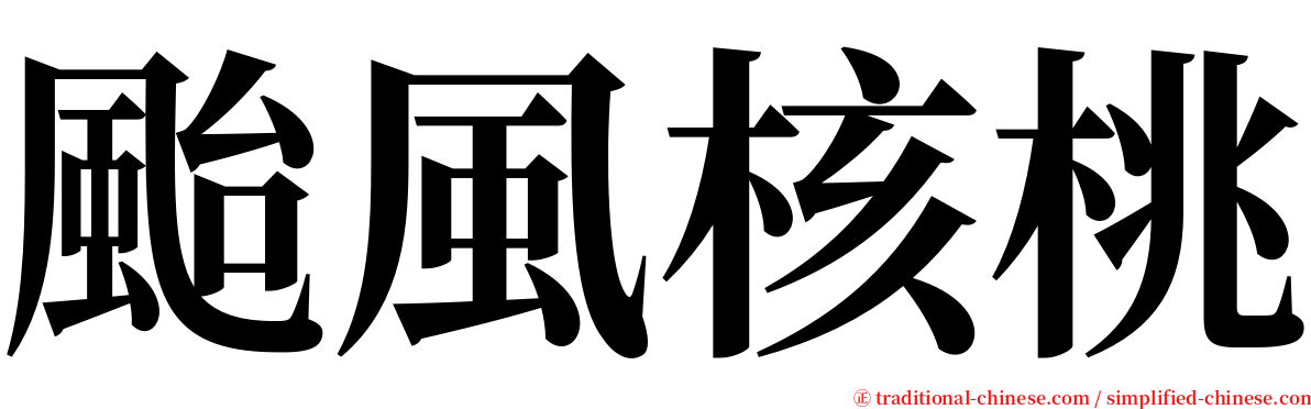 颱風核桃 serif font