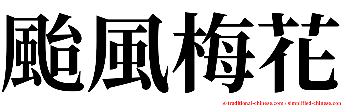 颱風梅花 serif font