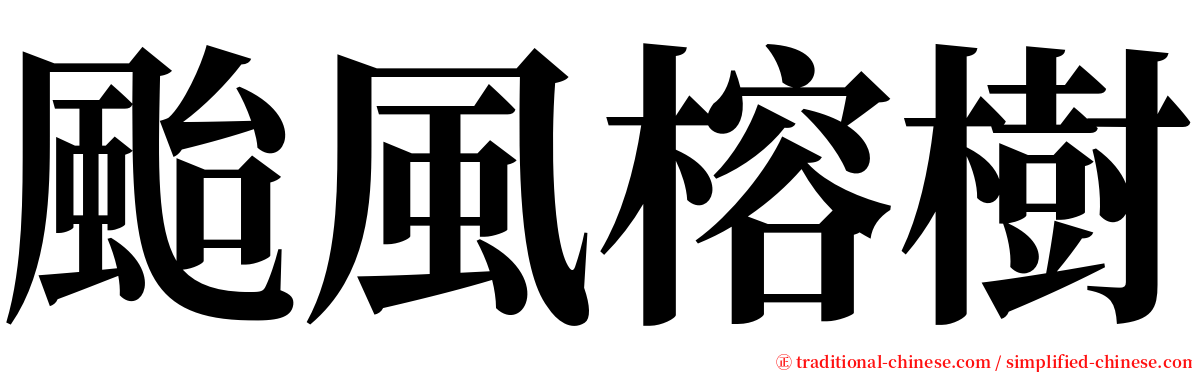 颱風榕樹 serif font