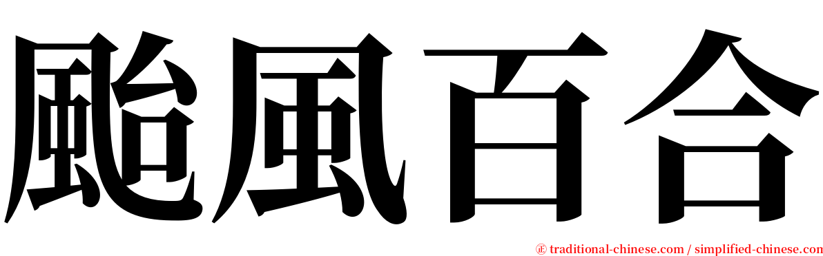 颱風百合 serif font