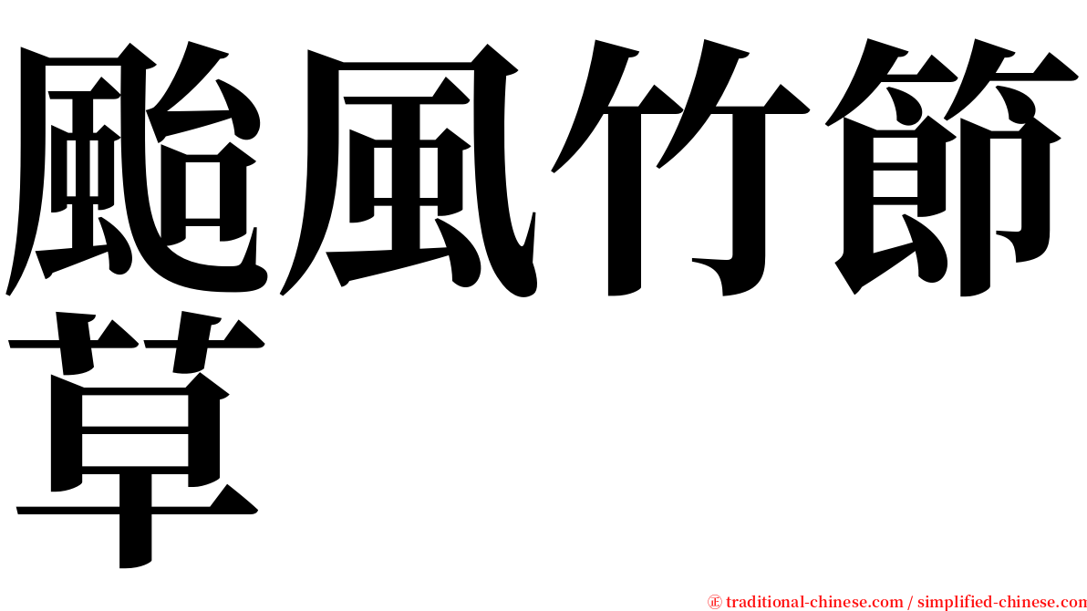 颱風竹節草 serif font