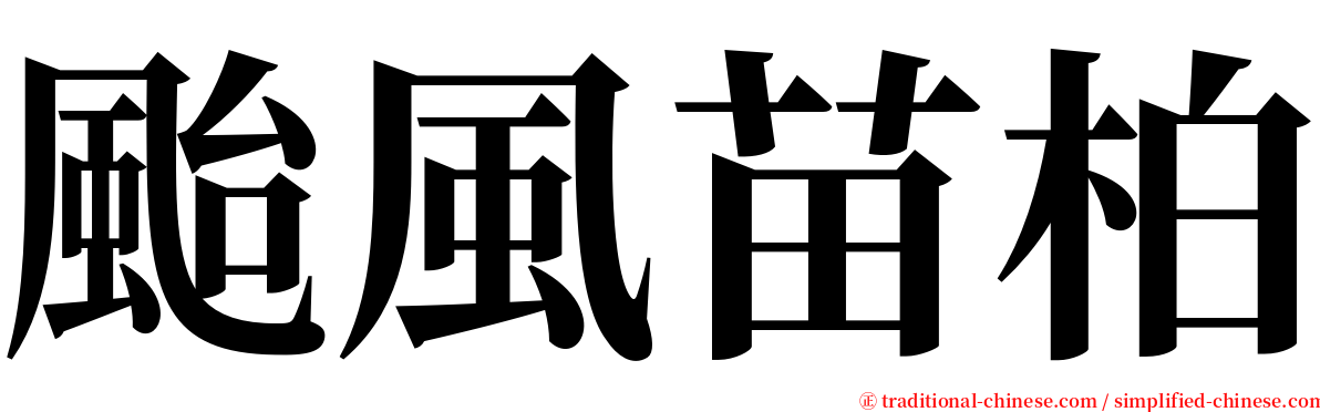 颱風苗柏 serif font